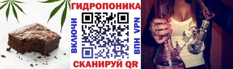 купить наркотик  Снежногорск  Еда ТГК марихуана 