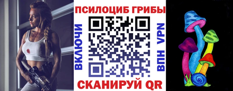 Галлюциногенные грибы Magic Shrooms  blacksprut ONION  Снежногорск 