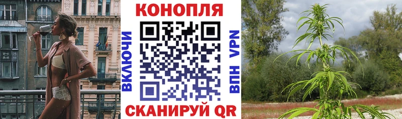 Бошки марихуана индика  что такое   Снежногорск 